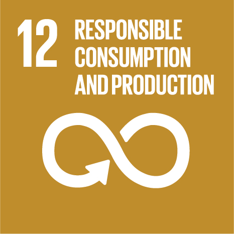 UN Sustainable Development Goal 12: Responsible Consumption